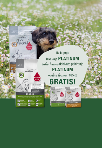Platinum HR mobile_750 x 1085