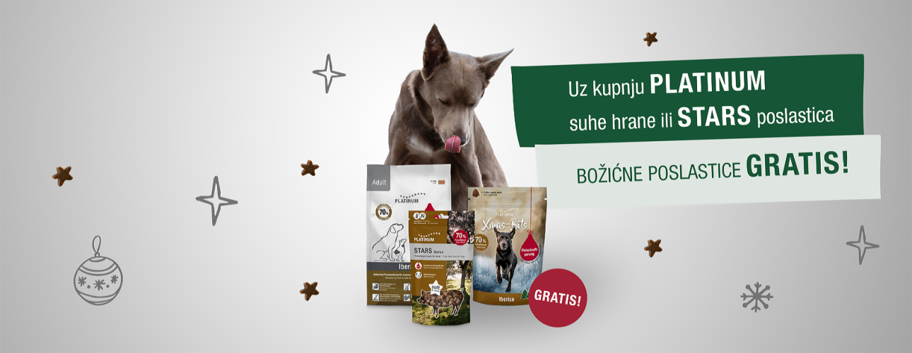 Platinum HR landing_1600 x 620