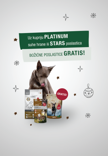 Platinum HR mobile_750 x 1085