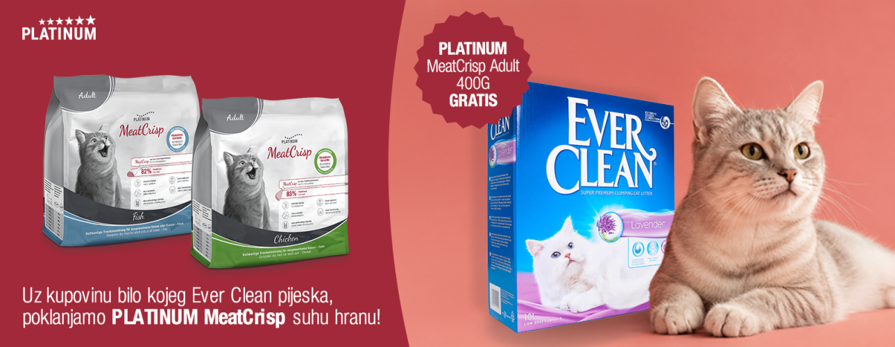 PLATINUM Ever Clean 1600x620px HR